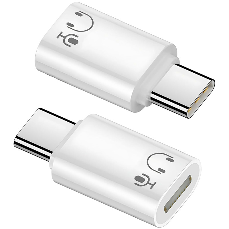 Wired Earphone Lightning - البرق أنثى إلى نوع C الصوت