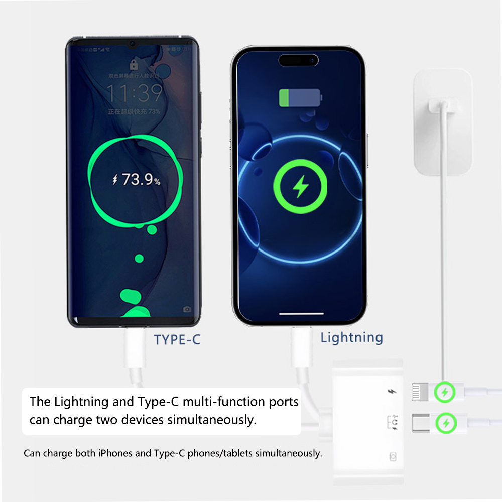 2 في 1 البرق نوع C إلى USB OTG - مراجعة Wired Earphone Lightning وسعره